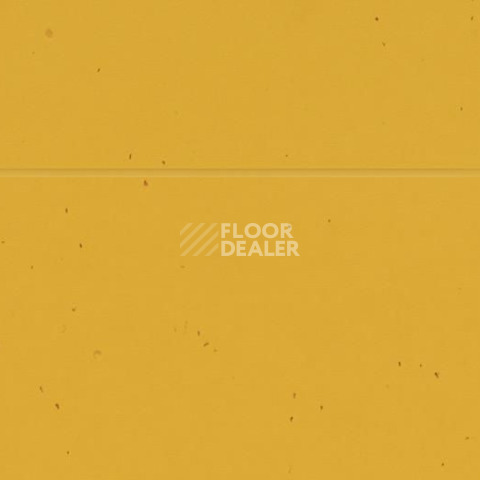 Forbo Sphera Energetic 50210 mandarin фото 2 | FLOORDEALER